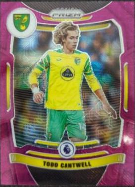 Todd Cantwell [Purple Mojo Prizm] #175