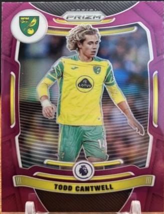 Todd Cantwell [Purple Prizm] #175