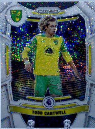 Todd Cantwell [White Sparkle Prizm] #175