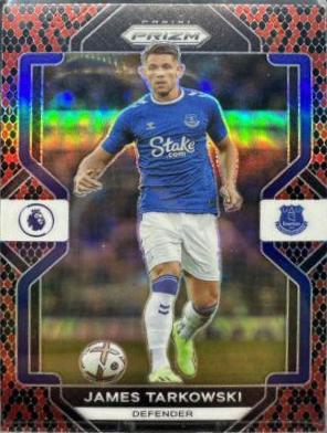 James Tarkowski [Snakeskin] #231