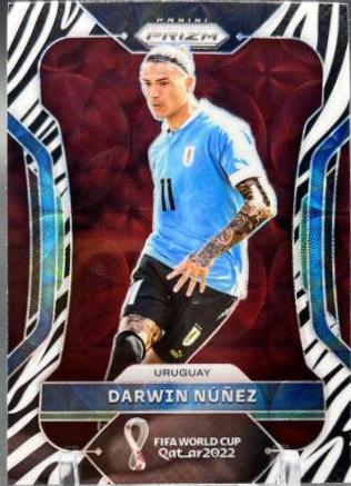 Darwin Nunez [Choice Zebra] #273