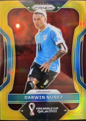 Darwin Nunez [Gold] #273