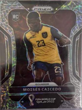 Moises Caicedo [Choice Elephant] #81