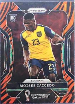 Moises Caicedo [Choice Tiger Stripe] #81