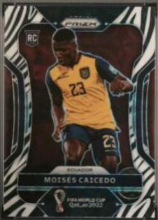 Moises Caicedo [Choice Zebra] #81