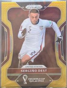 Sergino Dest [Gold] #206