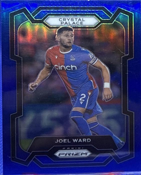 Joel Ward [Blue] #174