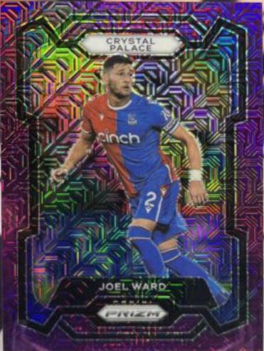 Joel Ward [Purple Mojo] #174