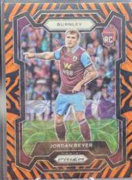 Jordan Beyer [Tiger Stripe Choice] #267