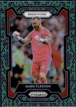 Mark Flekken [Snakeskin] #149