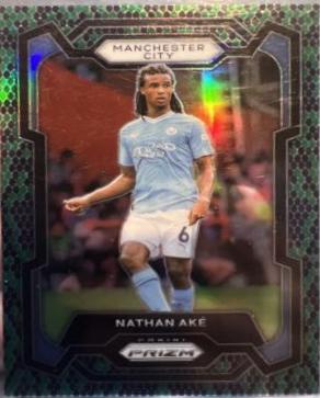 Nathan Ake [Snakeskin] #10