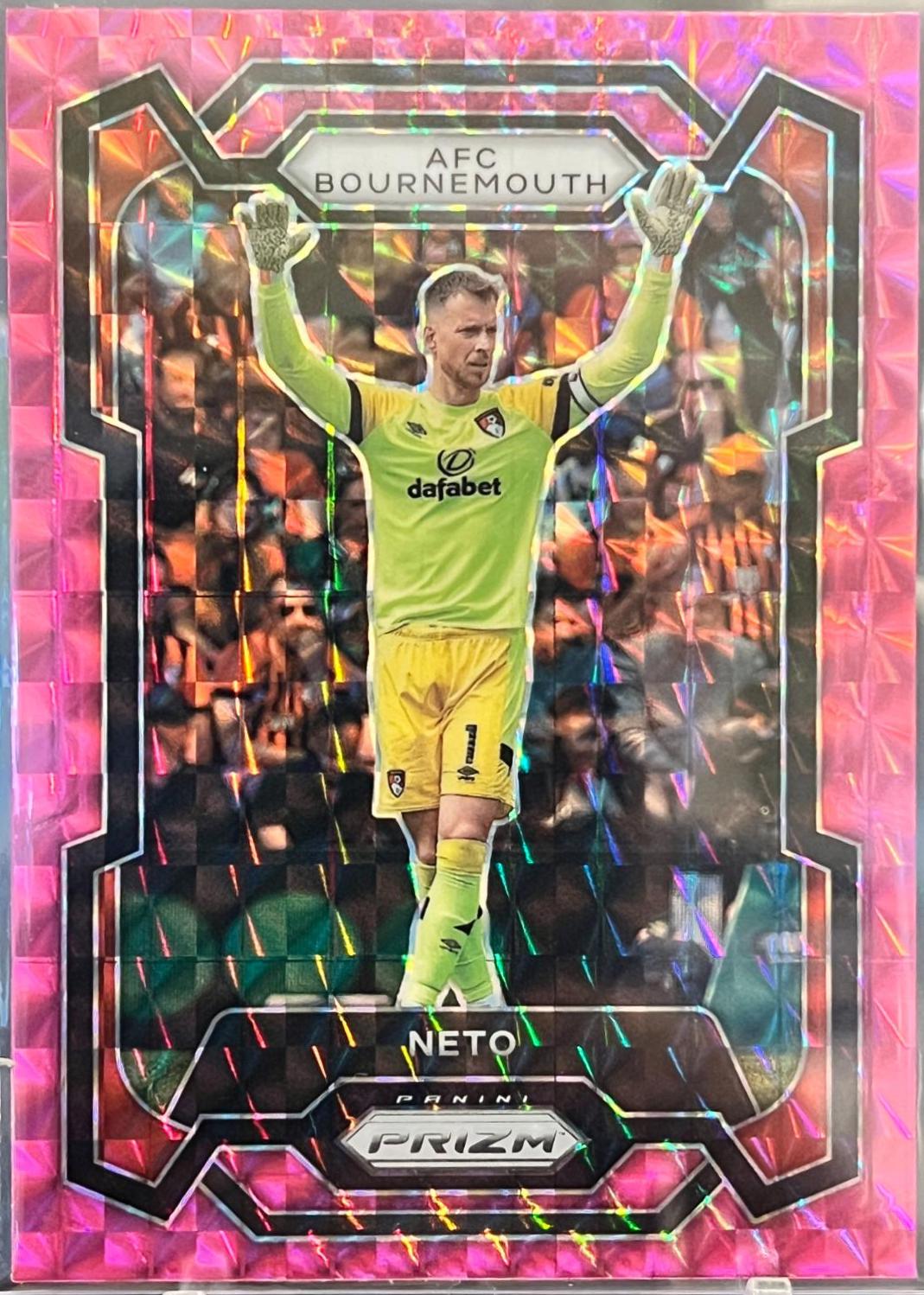 Neto #228