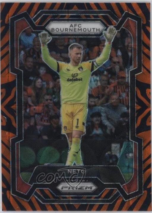 Neto [Tiger Stripe Choice] #228