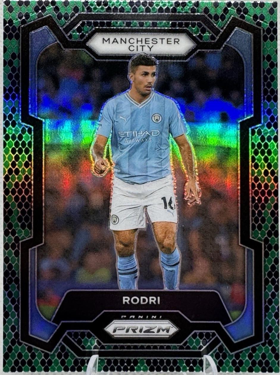 Rodri [Snakeskin] #5