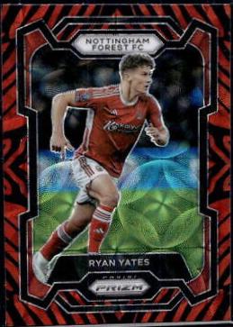 Ryan Yates [Tiger Stripe Choice] #251