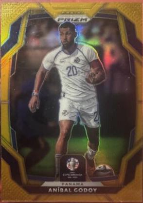 Anibal Godoy [Gold] #148