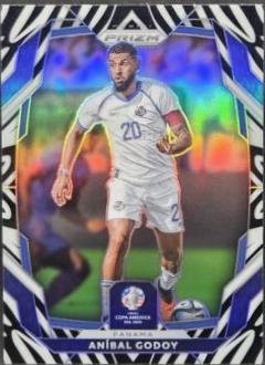 Anibal Godoy [Zebra] #148