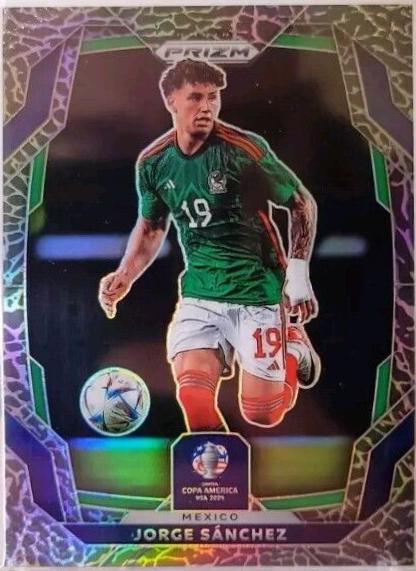 Jorge Sanchez [Elephant] #141