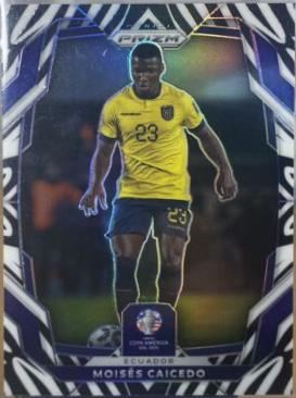 Moises Caicedo [Zebra] #65