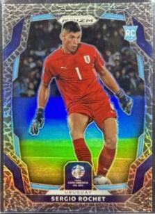 Sergio Rochet [Elephant] #98