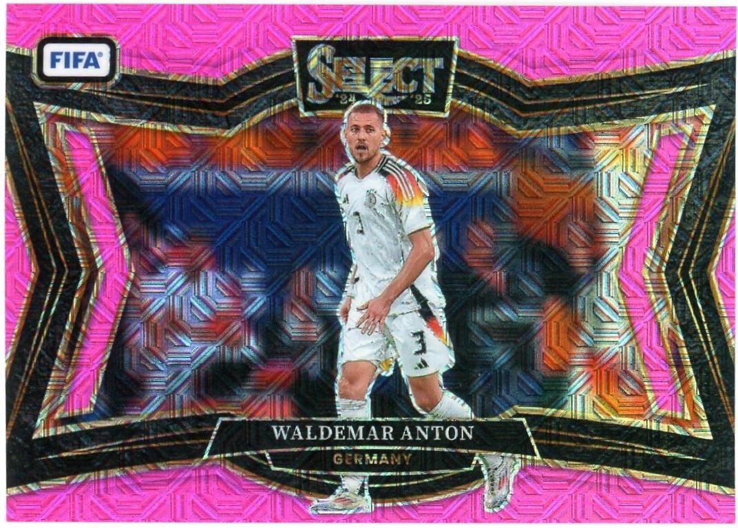 Waldemar Anton [Pink Mojo] #243
