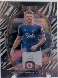 James Tarkowski [Zebra] #40