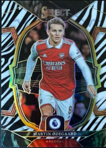 Martin Odegaard [Zebra] #238