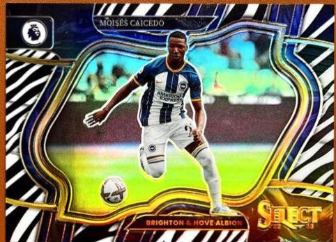 Moises Caicedo [Zebra] #248