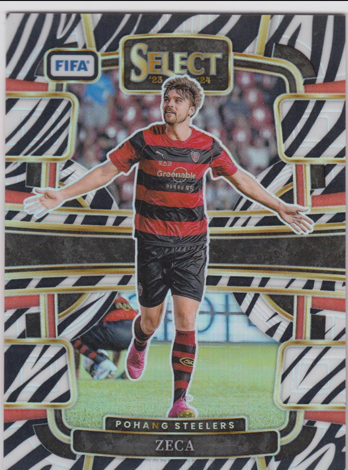 Zeca [Zebra] #65