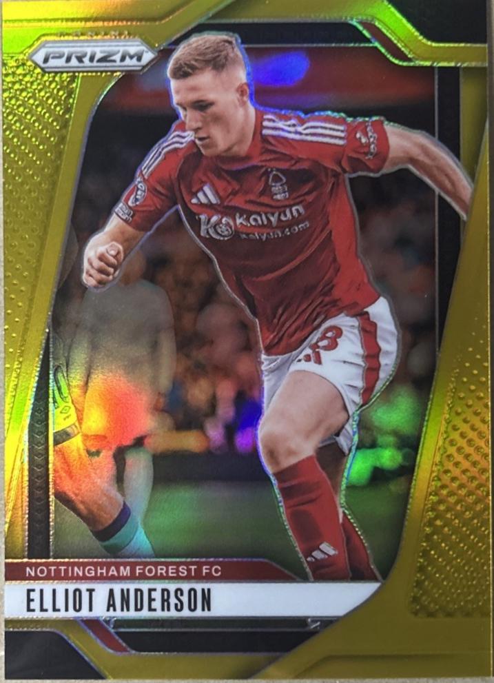 Elliot Anderson [Gold] #259