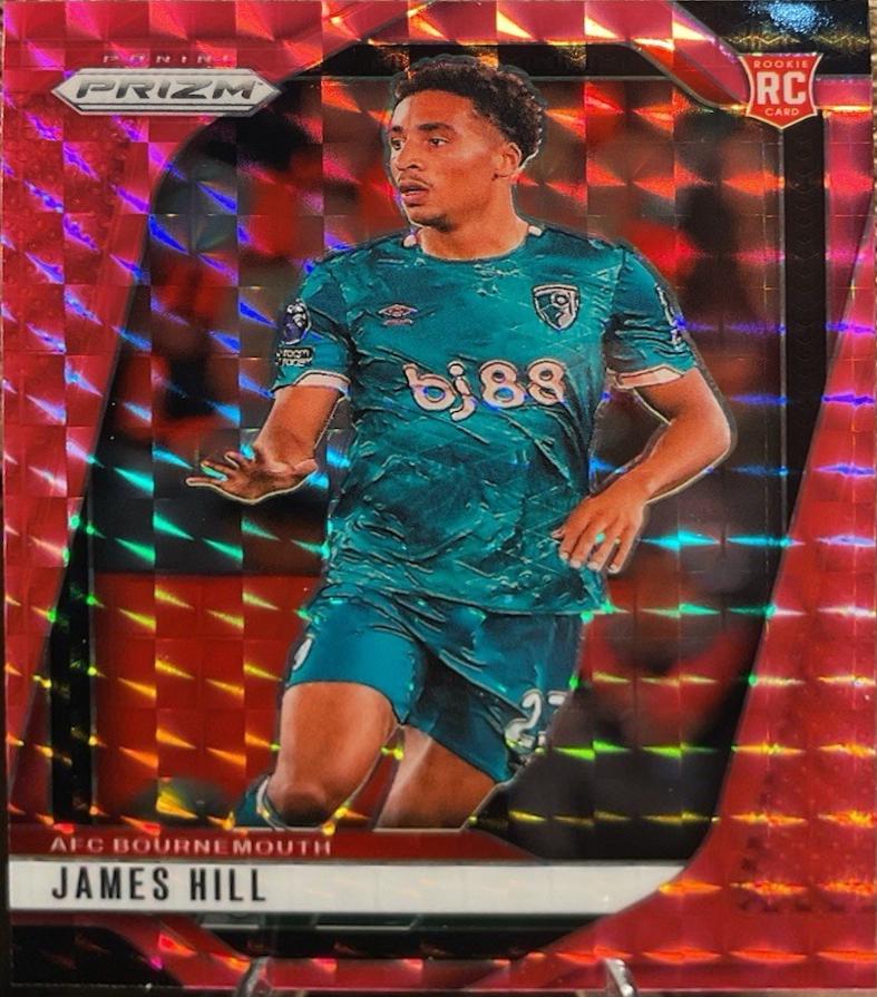 James Hill [Pink Mosaic] #198