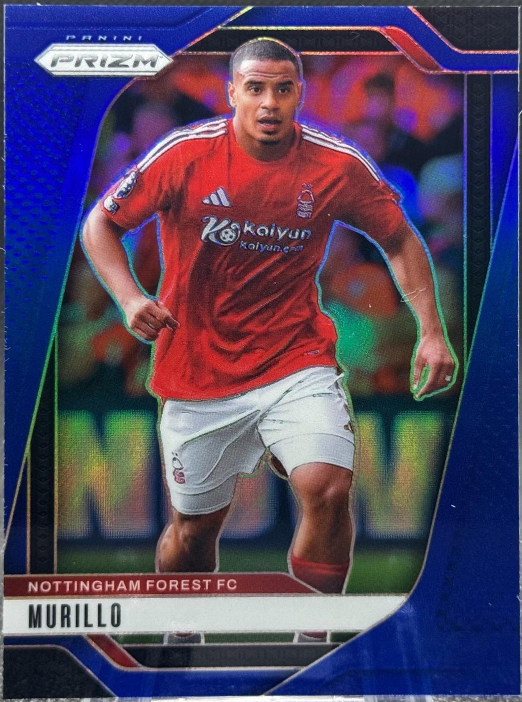 Murillo [Blue] #257
