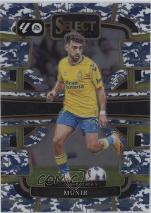 Munir [Winter Camo] #87