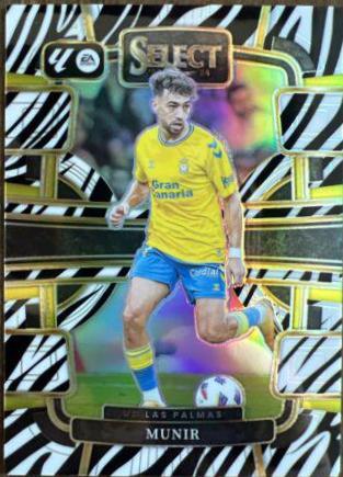 Munir [Zebra] #87