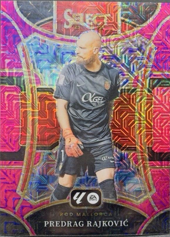 Predrag Rajkovic [Pink Mojo] #159