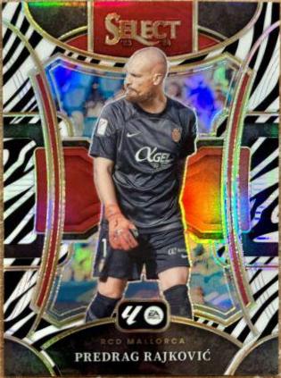 Predrag Rajkovic [Zebra] #159
