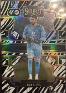 Rui Silva [Zebra] #62