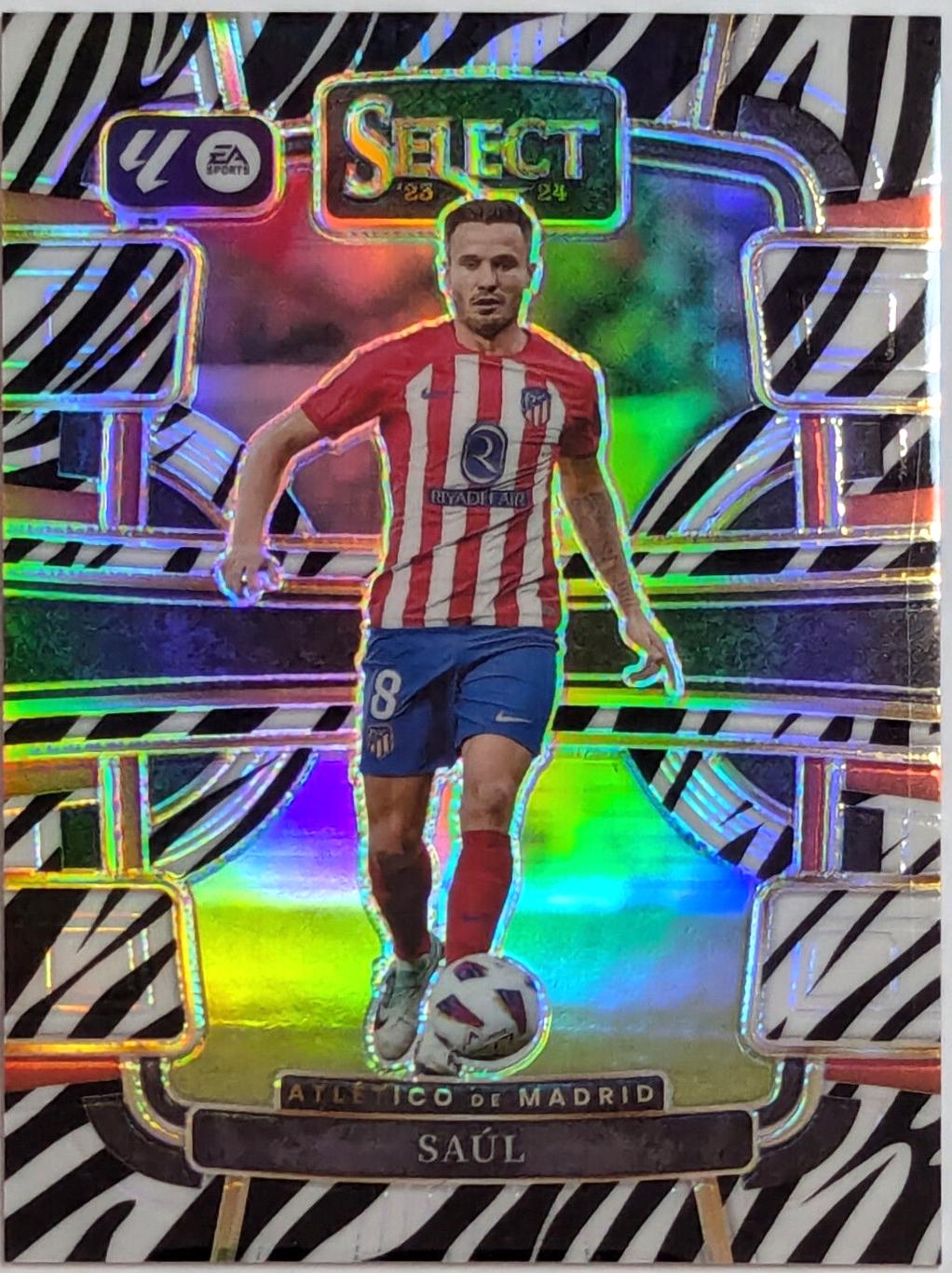 Saul [Zebra] #10