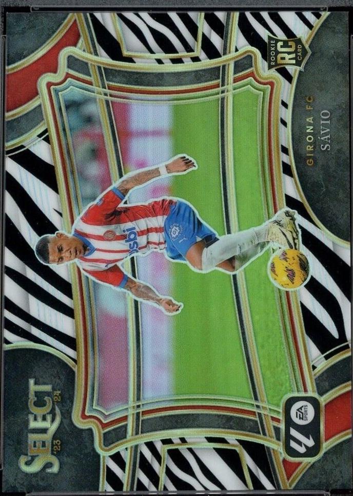 Savio [Zebra] #241