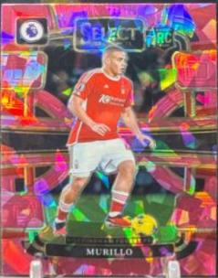 Murillo [Pink Ice] #79