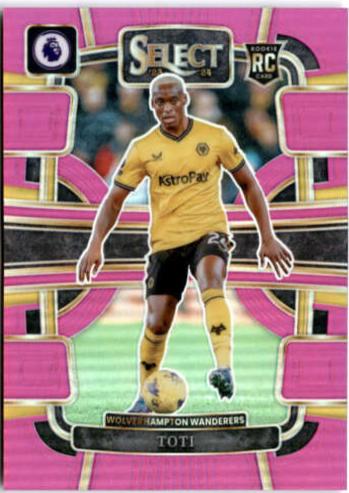 Toti [Pink] #100