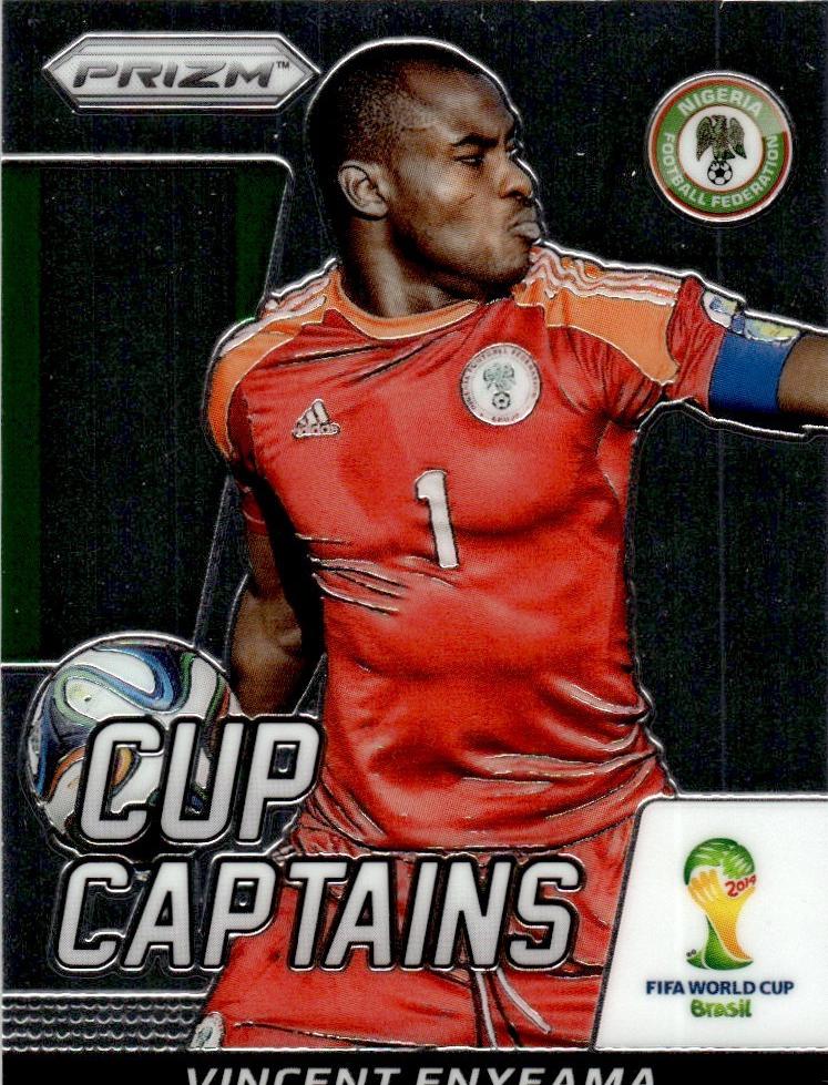 Vincent Enyeama #29