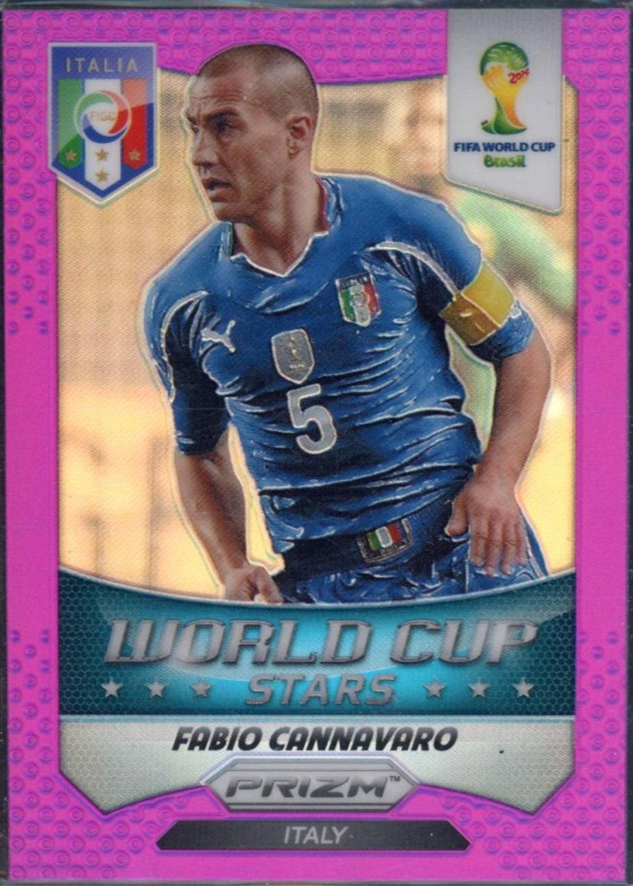 Fabio Cannavaro [Purple Prizm] #48