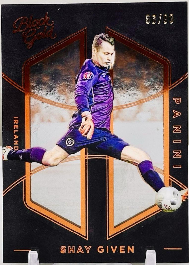 Shay Given [Bronze] #99