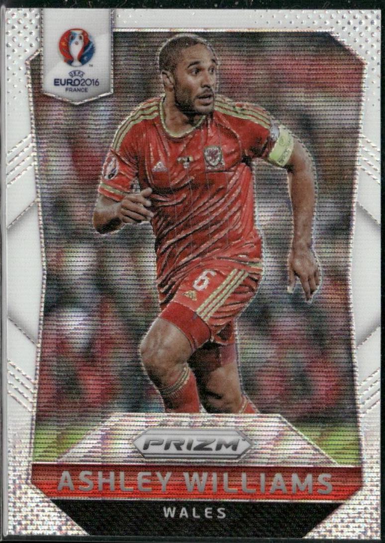 Ashley Williams [Flash Prizm] #120
