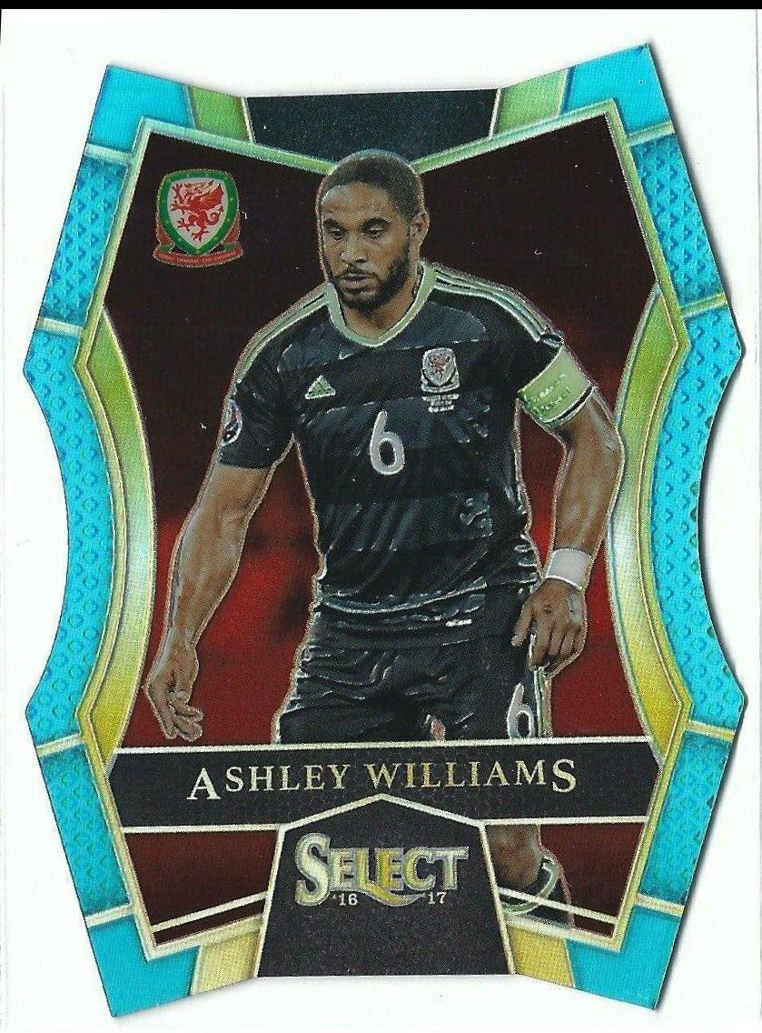 Ashley Williams #109