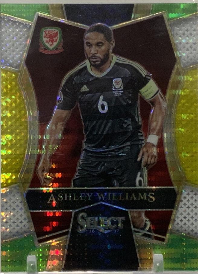 Ashley Williams [Silver Prizm] #109