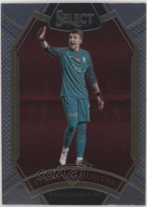 Fernando Muslera #293