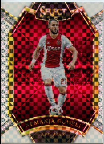 Nemanja Gudelj [White Prizm] #251