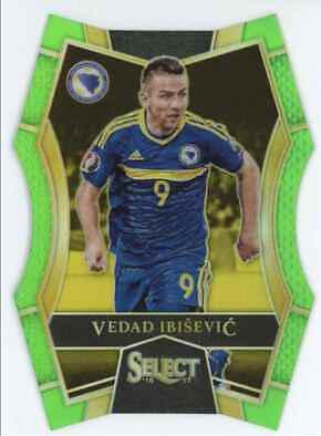 Vedad Ibisevic #113